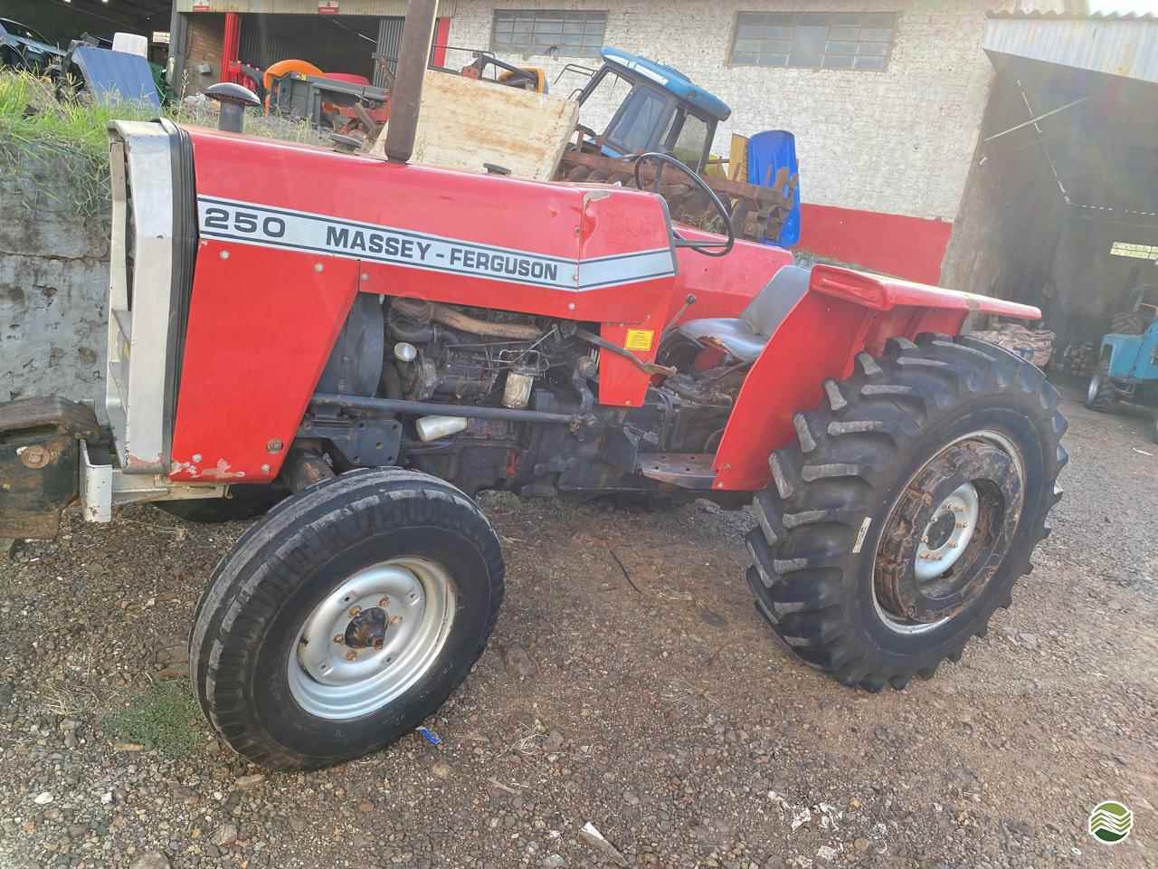 TRATOR MASSEY FERGUSON MF 250 Tração 4x2 Gnoatto Máquinas NONOAI RIO GRANDE DO SUL RS